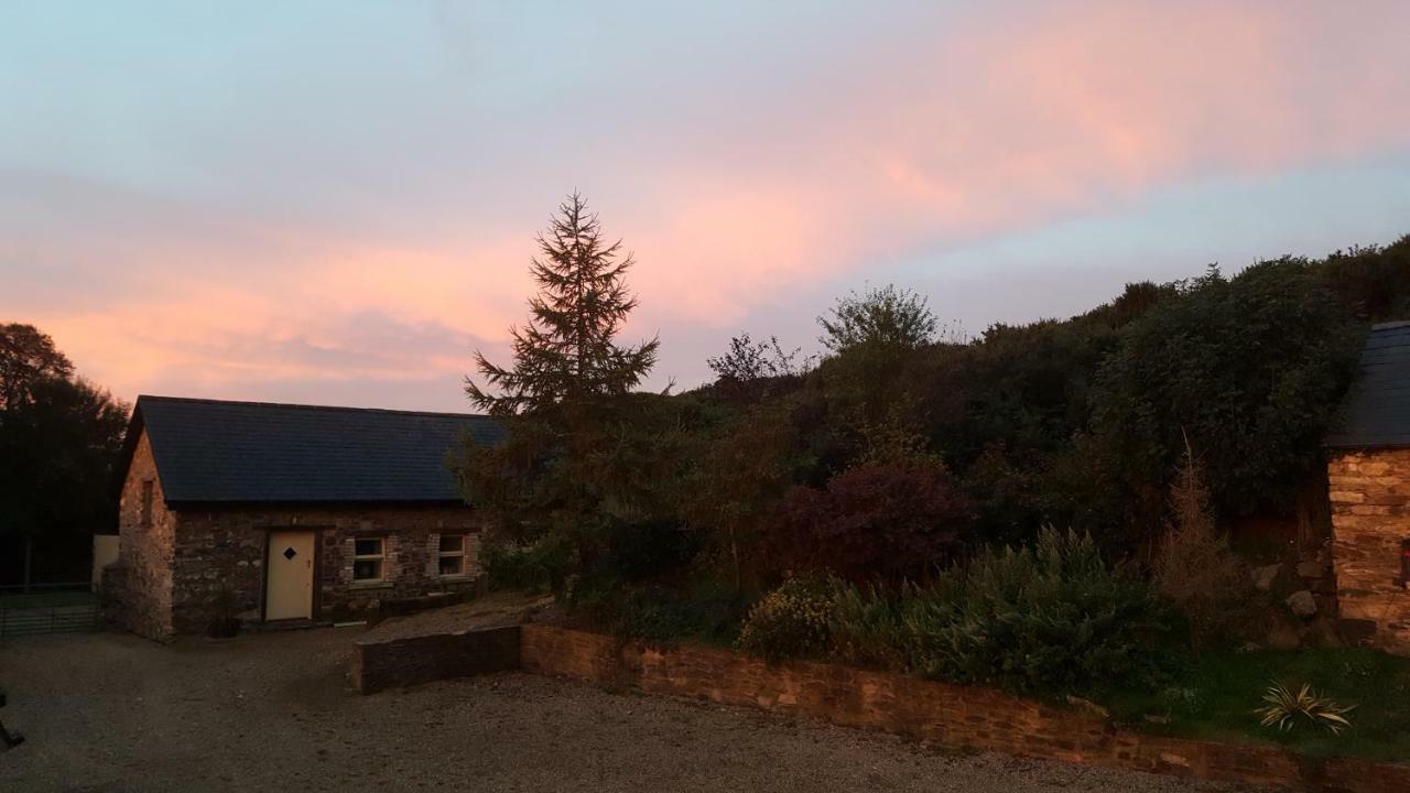 Tara Hill Estate Vila Gorey Exterior foto